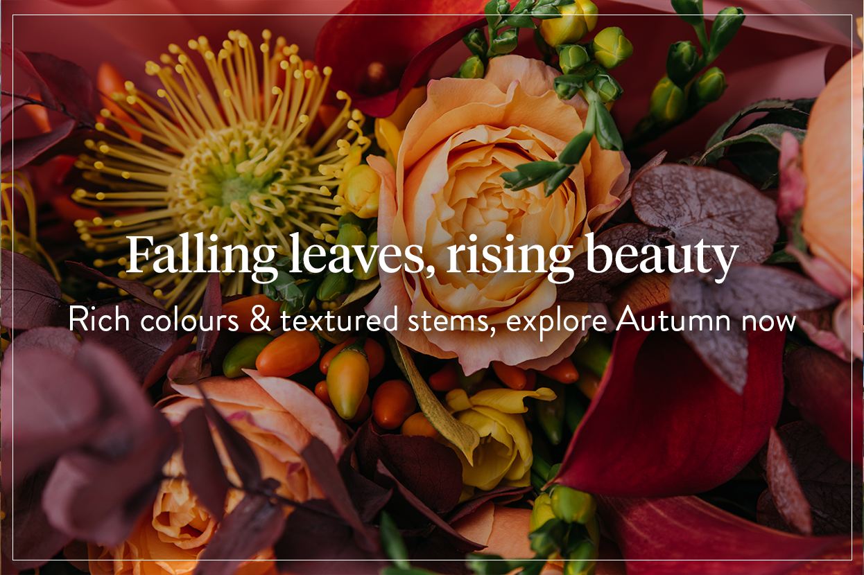 Free same-day flower delivery in Harrow, Pinner, Ruislip, Northwood, Hatch End and surrounding areas from your trusted local florist.