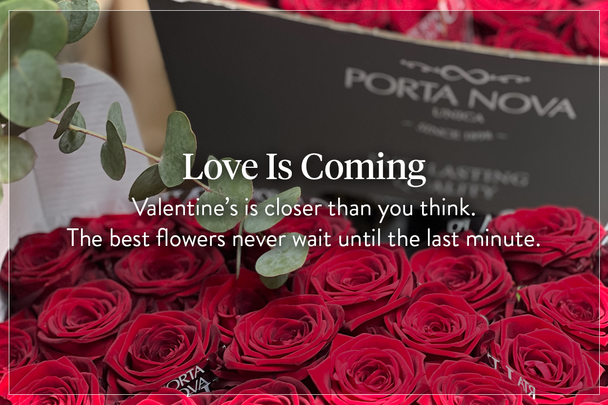 Same-day flower delivery in Harrow, Pinner, Ruislip, Northwood, Hatch End and surrounding areas from your trusted local florist.