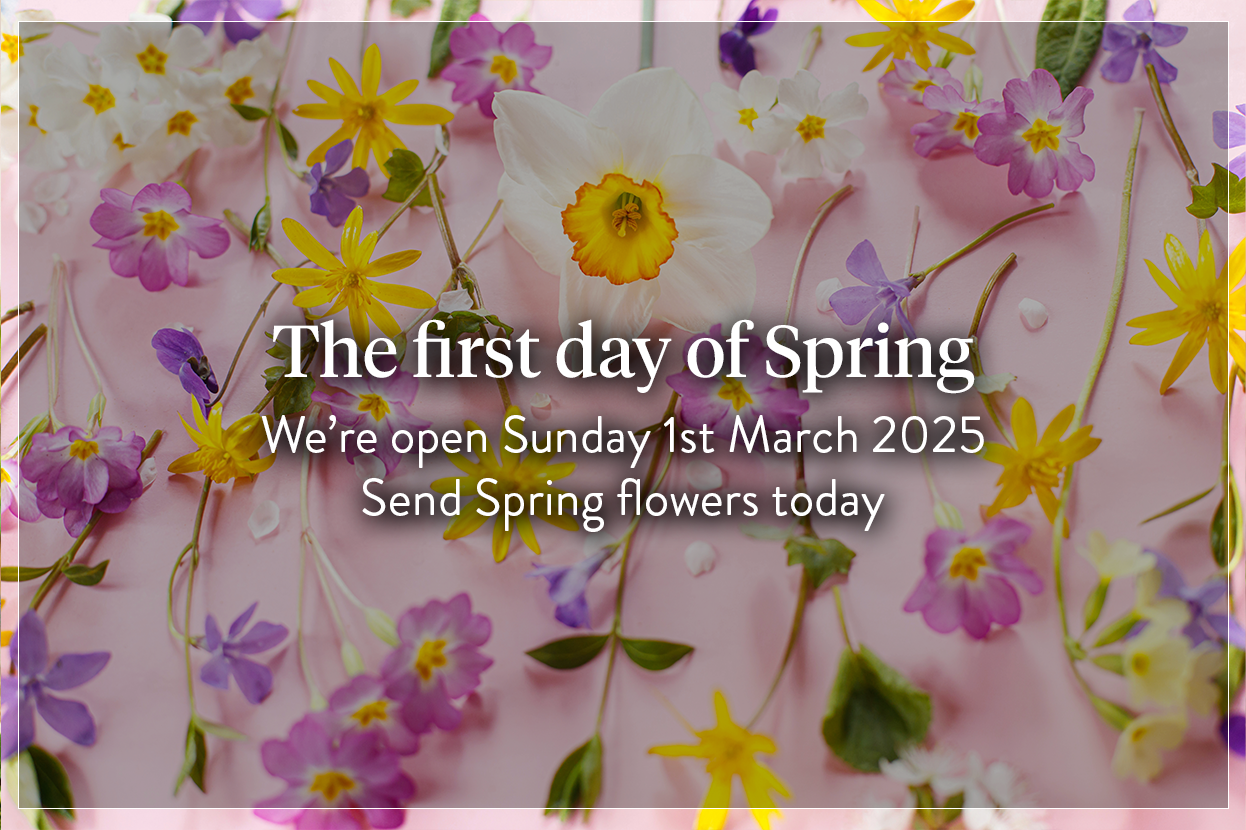 Same-day flower delivery in Harrow, Pinner, Ruislip, Northwood, Hatch End and surrounding areas from your trusted local florist.